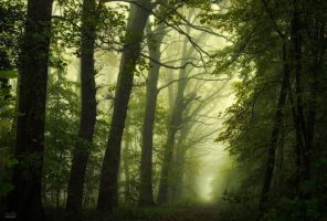 pilgrimage_over_the_god_s_sanctuary__by_janek_sedlar-da687f5