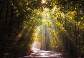 road_to_the_sun__by_janek_sedlar-dapo1bg